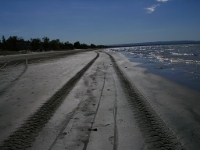 Utah Wheel Alignment: Beach Tracks